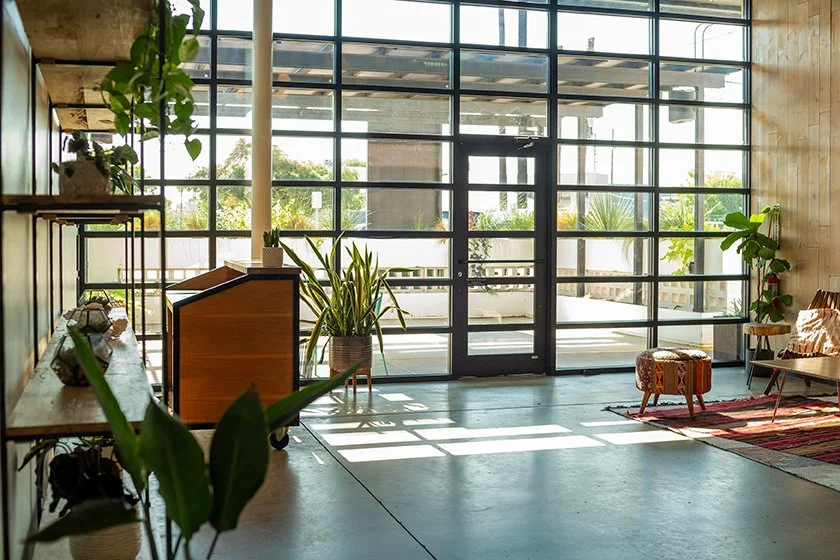 Peached Social House with industrial glass garage doors, plants, natural light, and bohemian lounge decor