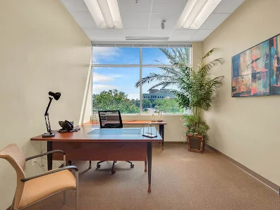 YourOffice Lake Mary private executive office with large wooden desk, palm tree window view, and abstract art